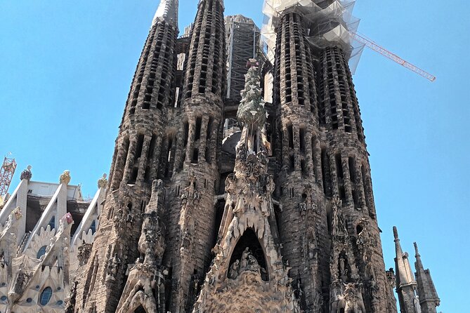 Barcelona Highlights Bike Tour - Starting in the Gothic Quarter and Plaça de la Mercè