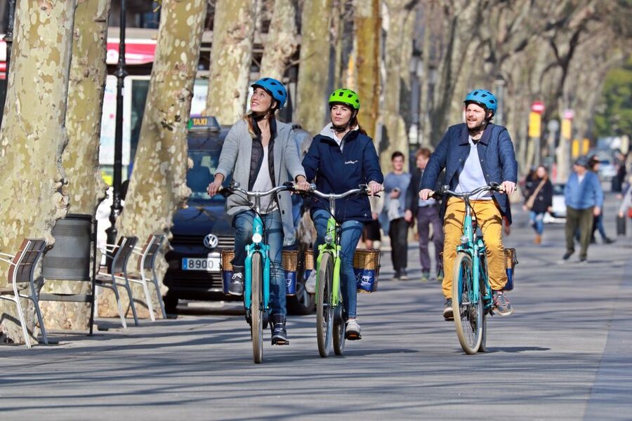Barcelona: Montjuic Hill E-Bike Tour - Guides, safety, and the small-group feel