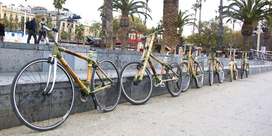 Barcelona: Private Highlights Tour by Bamboo Bicycle - What the private format is worth