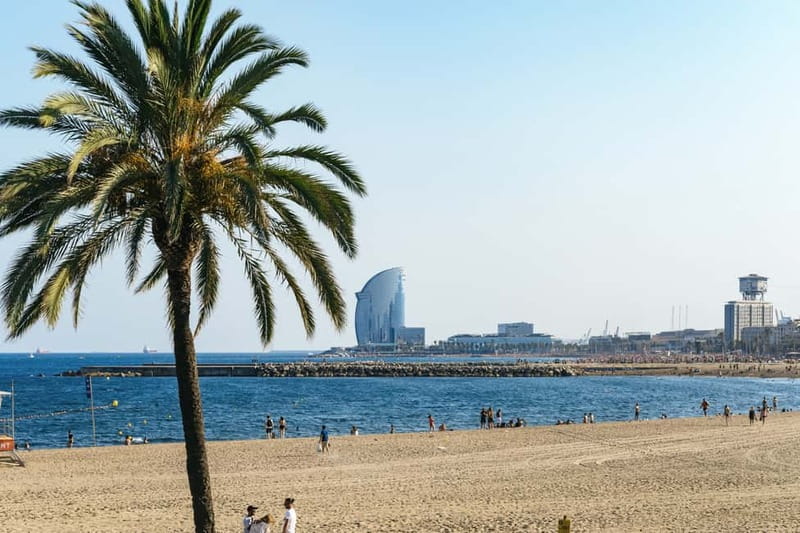 Barcelona: Sagrada Familia or City Tour by Bike or eBike - The 4 p.m. old town and beach route