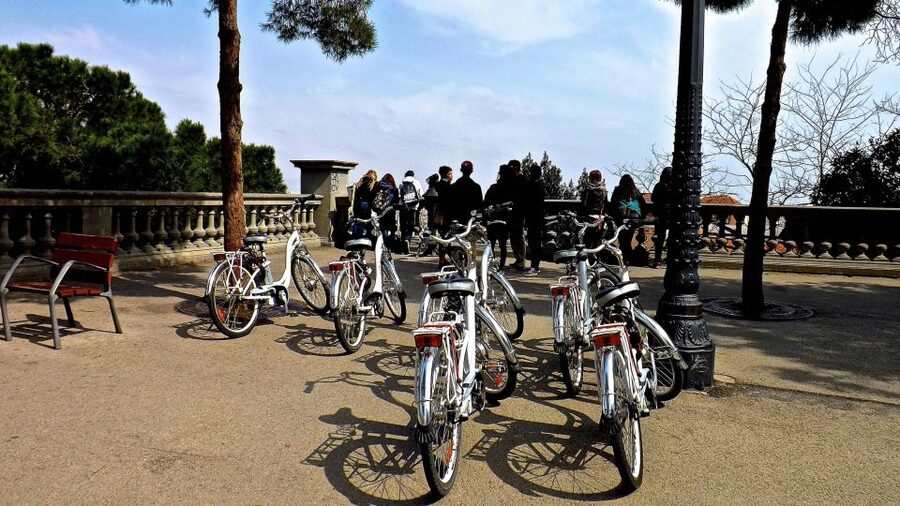 Barcelona: Small Group or Private Bike Tour - Following the ride toward the waterfront