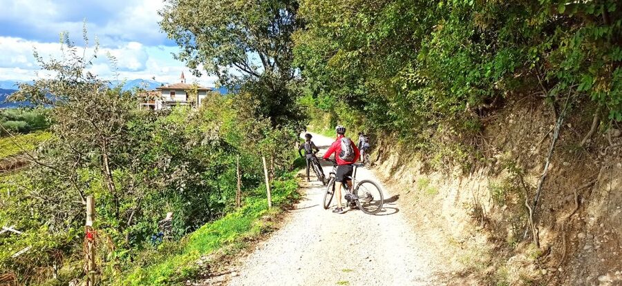 Bardolino: e-bike tour and wine tasting on the hills - Starting at Cantina Valetti in Bardolino