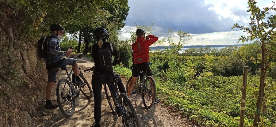 Bardolino: e-bike tour and wine tasting on the hills - Cavaion Veronese, Affi, and Costermano