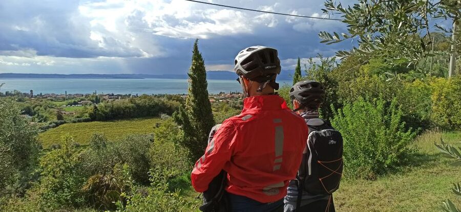 Bardolino: e-bike tour and wine tasting on the hills - The wine cellar and its three pours