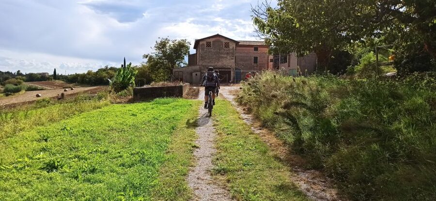 Bardolino: e-bike tour and wine tasting on the hills - Who will enjoy this ride most