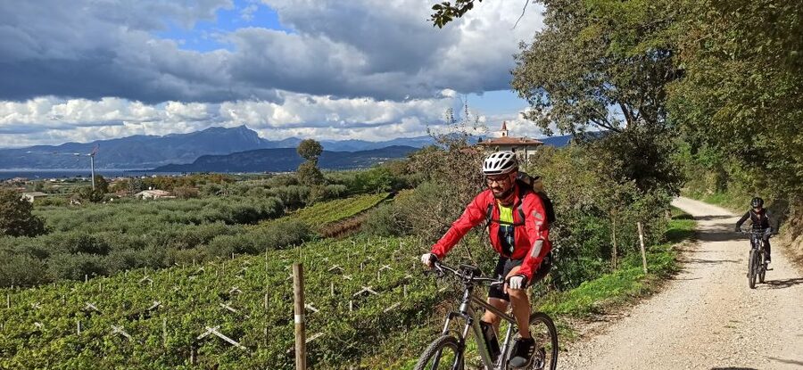 Bardolino: e-bike tour and wine tasting on the hills - How this compares with a standard wine tasting