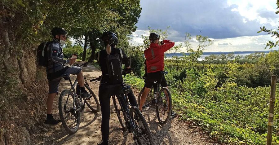 Bardolino: e-bike tour and wine tasting on the hills - Riding through Bardolino’s inland hills