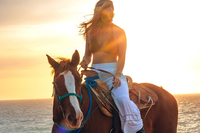 Beach Camel Ride and Sky Bike in Cabo - Transport, Group Size, and Practical Comfort