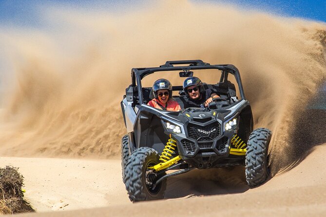 Beach Camel Ride and Sky Bike in Cabo - What Happens at Cactus Park