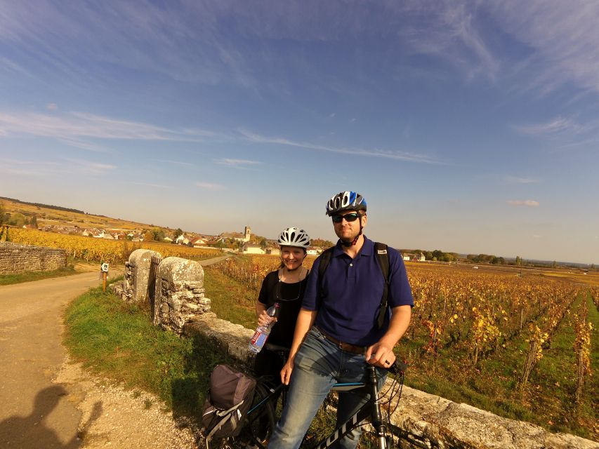 Beaune: Winery Tour by Bike with Wine Tasting - Key points at a glance