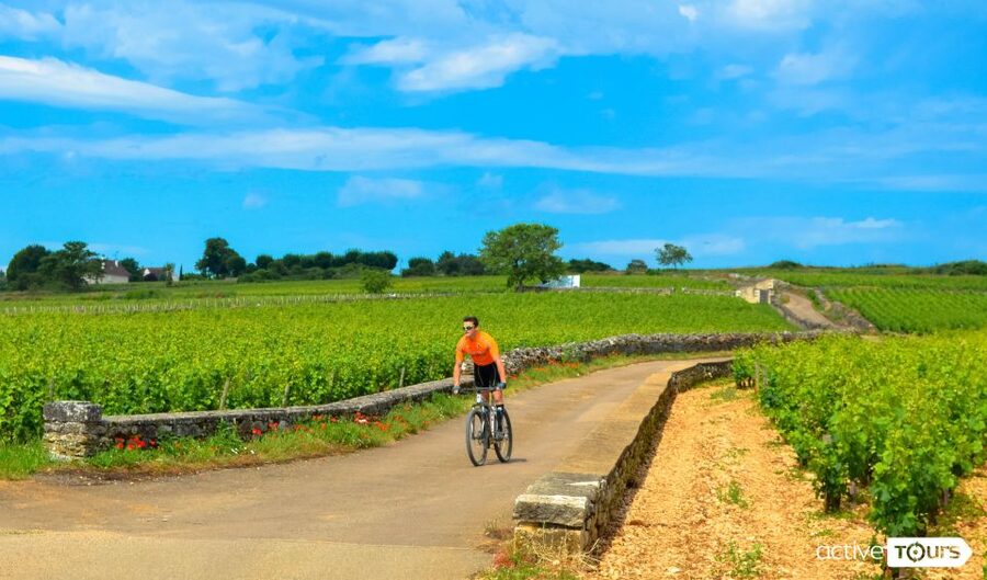 Beaune: Winery Tour by Bike with Wine Tasting - Starting beside Beaune’s Parc de la Bouzaize