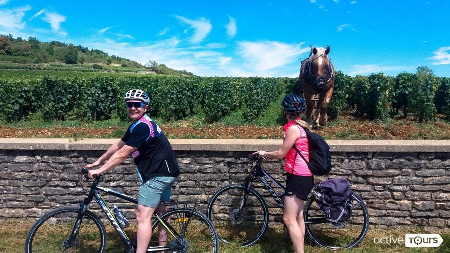 Beaune: Winery Tour by Bike with Wine Tasting - Learning what Burgundy’s Climats mean