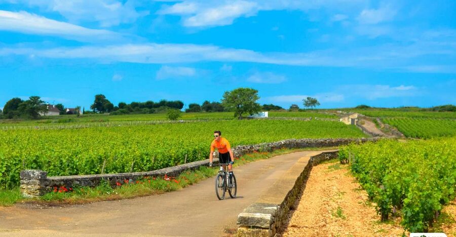 Beaune: Winery Tour by Bike with Wine Tasting - The ride through Pommard and Volnay