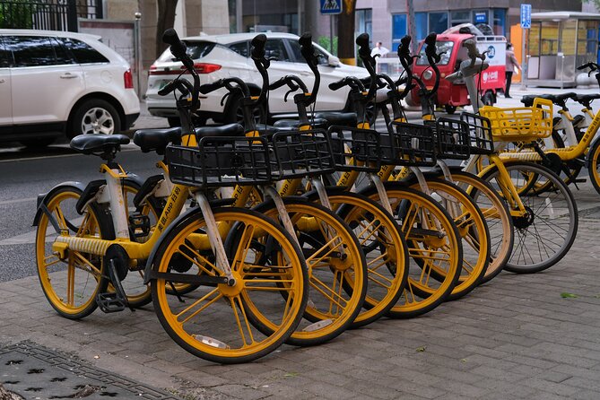 Beijing Highlights-Private Beijing Bike Tour - Who Gets the Best Value From This Tour