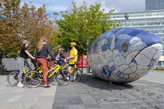Belfast Bike Tours - The Peace Wall, murals, and the Troubles