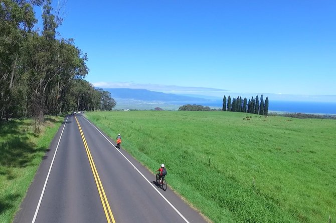 Best Haleakala Downhill Self-Guided Bike Tour with Maui Sunriders - Haleakalā at 6,500 feet: the first riding section
