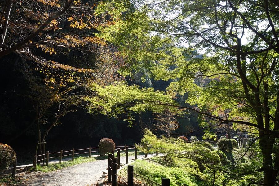 Best of Kyoto: Ginkakuji & Path of Philosophy E-Bike Tour - Why Kyoto works so well by e-bike