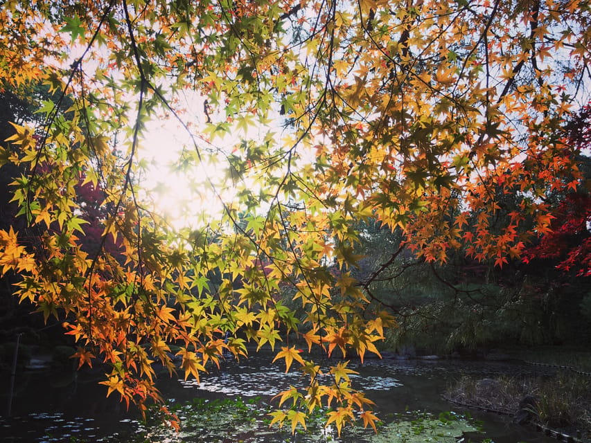 Best of Kyoto: Ginkakuji & Path of Philosophy E-Bike Tour - Ginkakuji, Kyoto’s Silver Pavilion