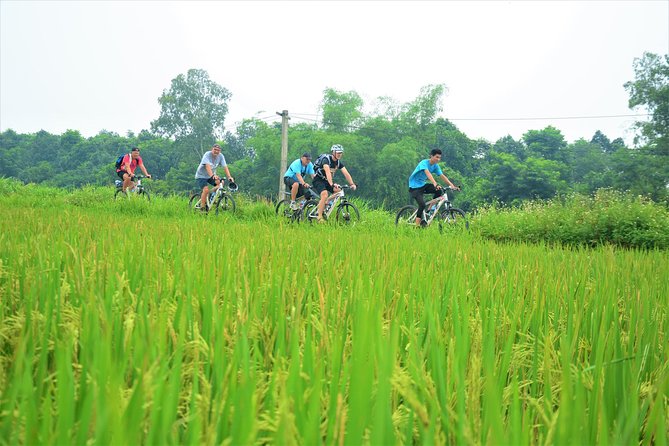 Bicycle Tours Hanoi: Full Day Bicycle Tour Hanoi Countryside - Local food, wet-market fruit, and a family lunch