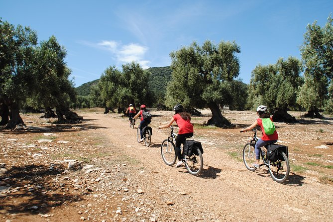 Bike oil tour in Monopoli - Riding through olive groves and private farms