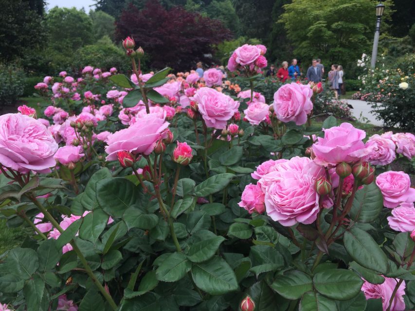 Bike Portland: Bridges, Neighborhoods, Poetry, and Roses - Ladd’s Addition and the city’s many sides