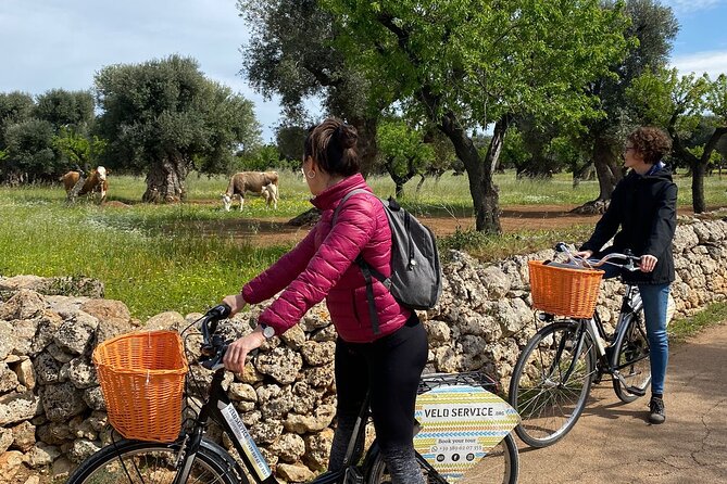 Bike Rental in Bari - Family Use and Group Planning