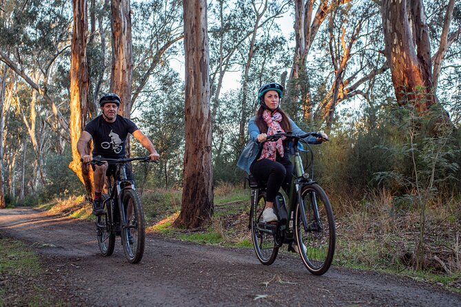 Bike to Winery Tour - Moama Wharf and the interstate ride