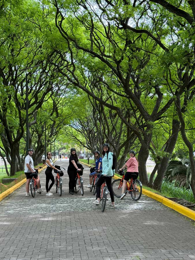 Bike Tour: Buenos Aires to the South (E-Bike) - San Telmo and Parque Lezama: old Buenos Aires on two wheels