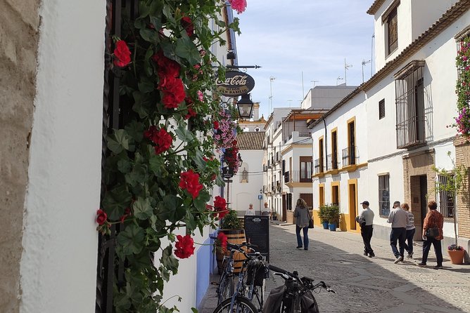 Bike Tour Córdoba - San Basilio patios and the pleasure of a short stop