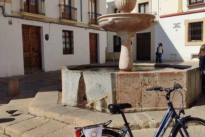 Bike Tour Córdoba - Palacio de Viana and the final stretch