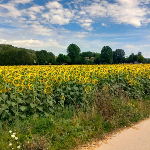 Bike tour from Vernon to Giverny with local guide - One hour, with room to slow down