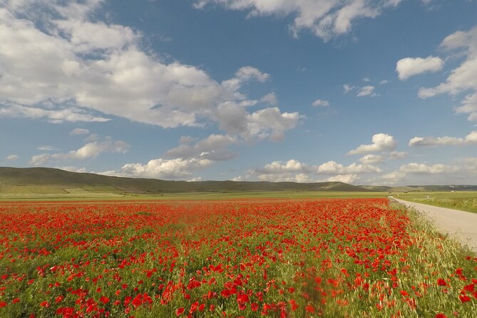 Bike Tour in the Alta Murgia National Park (Pulo of Altamura) - Riding Through the Alta Murgia Pseudo-Steppe