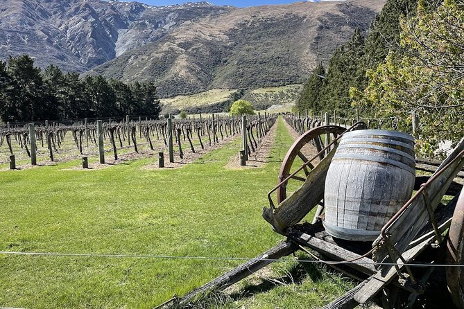 Bike & Wine Tour: Arrowtown to Valley of the Vines - The details that matter most