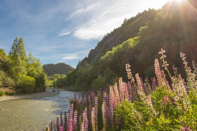 Bike & Wine Tour: Arrowtown to Valley of the Vines - Who will enjoy this most?