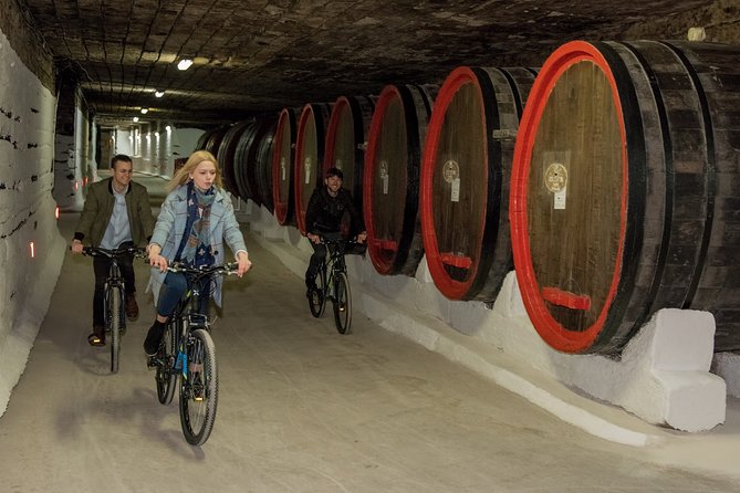Biking a Guinness Book Winery - Key points to know before booking