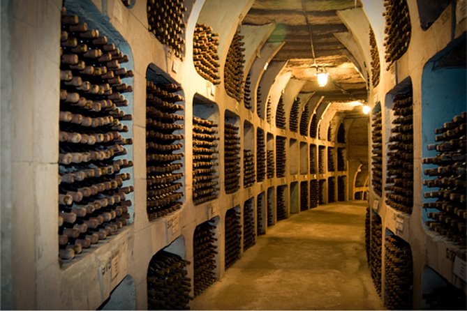 Biking a Guinness Book Winery - What you see along the 5-kilometer route