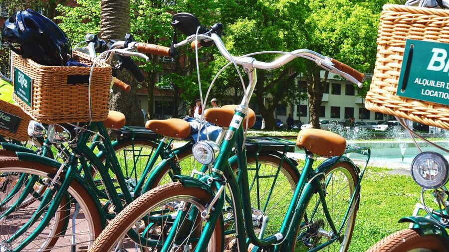 Bilbao: City Highlights Guided Bike Tour - Euskalduna Palace, the docks, and Doña Casilda Park