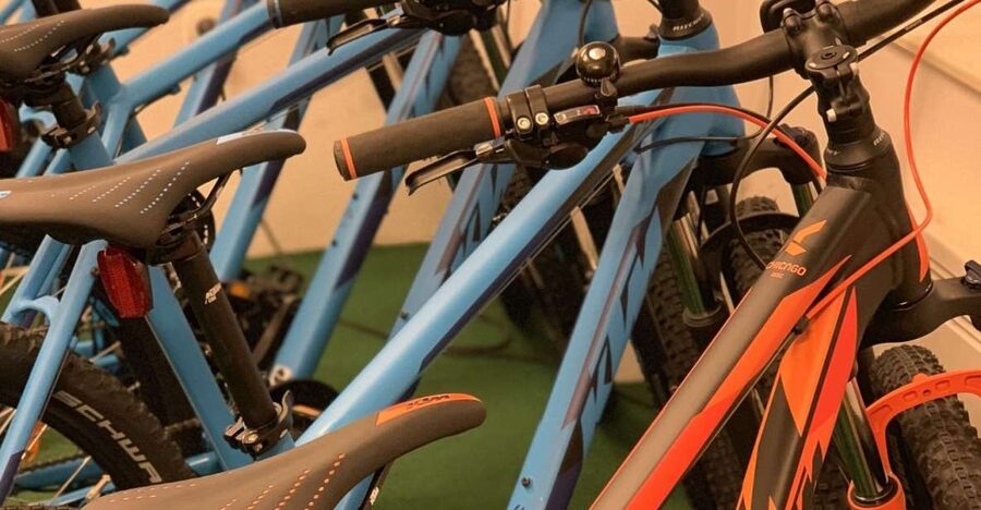 Bled: Mountain Bike Rental - What You Get for $29