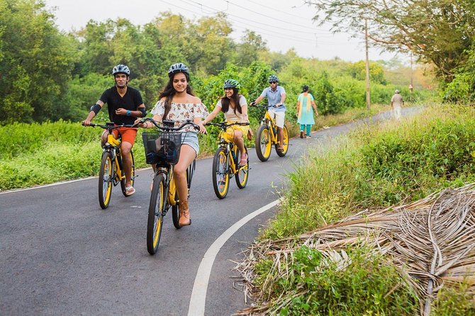 BLive Electric Bike Tours – Discovery of Divar Island - Why Divar Island makes a good cycling day