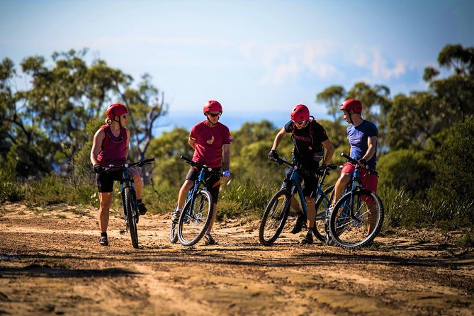 Blue Labyrinth PRIVATE Tour: Sydney Blue Mountains by E-Bike - Why Glenbrook makes a smart starting point