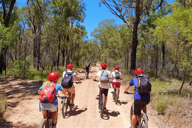 Blue Labyrinth PRIVATE Tour: Sydney Blue Mountains by E-Bike - Getting familiar with the e-bike