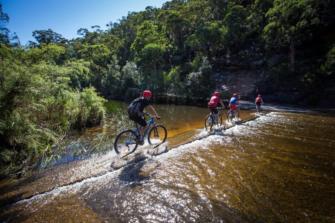 Blue Labyrinth PRIVATE Tour: Sydney Blue Mountains by E-Bike - Riding the fire trails through Glenbrook