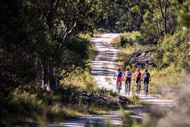 Blue Labyrinth PRIVATE Tour: Sydney Blue Mountains by E-Bike - Is $268.97 per person good value?