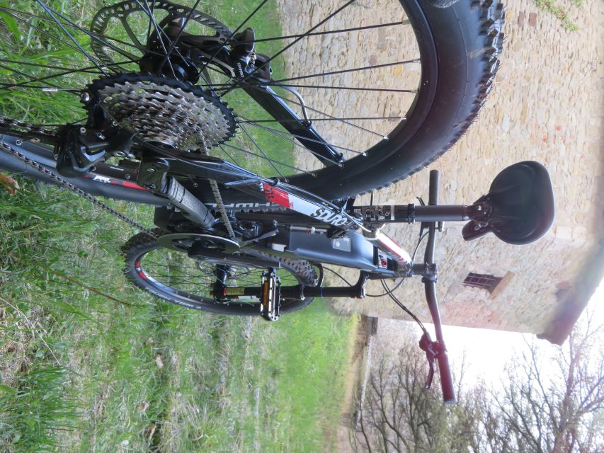 Bologna: E-Bike Guided Tour with Aperitivo - Practical details before you go