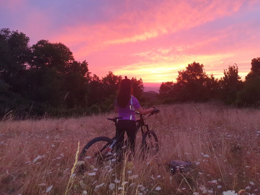 Bologna: E-Bike Guided Tour with Aperitivo - Guides who make the experience work