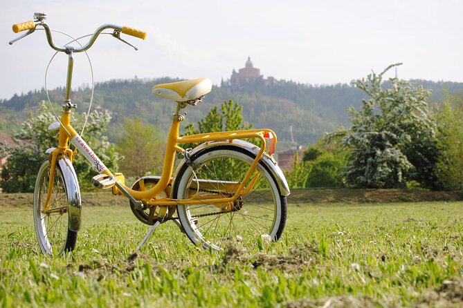 Bologna Panoramic Bike Tour - Key things to know before booking