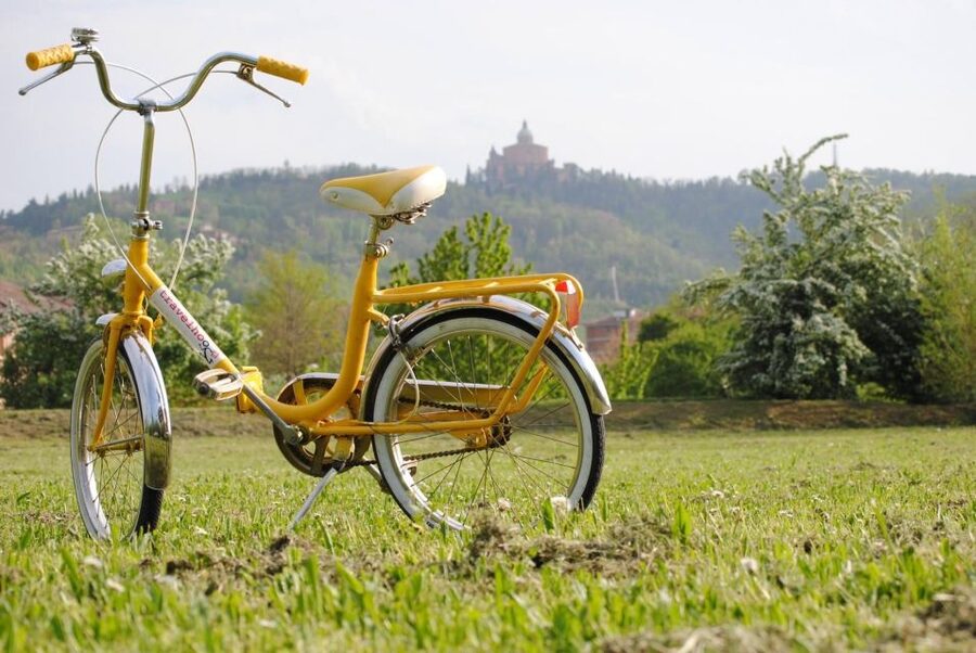 Bologna: Panoramic Bike Tour - Piazza Maggiore and San Petronio