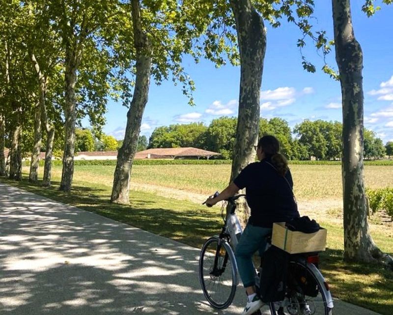 Bordeaux: St-Emilion Vineyards e-Bike Tour with Wine & Lunch - St-Émilion village deserves more time