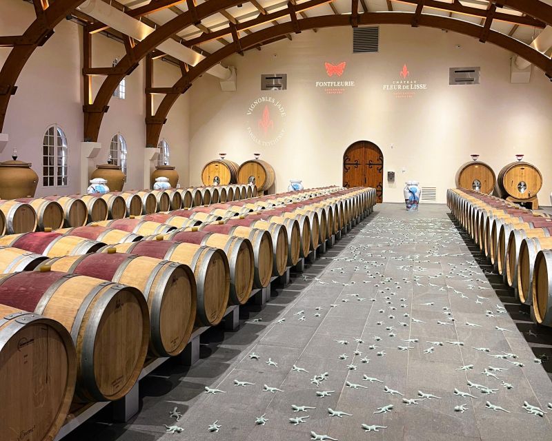 Bordeaux: St-Emilion Vineyards e-Bike Tour with Wine & Lunch - Who will enjoy this day most?