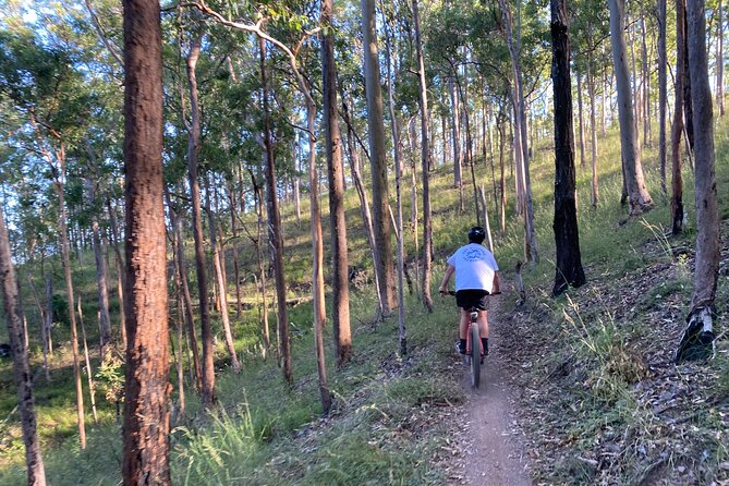 Brisbane Electric Mountain Bike Experience Tour - Reaching Mount Coot-Tha Summit Lookout